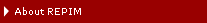 About REPIM